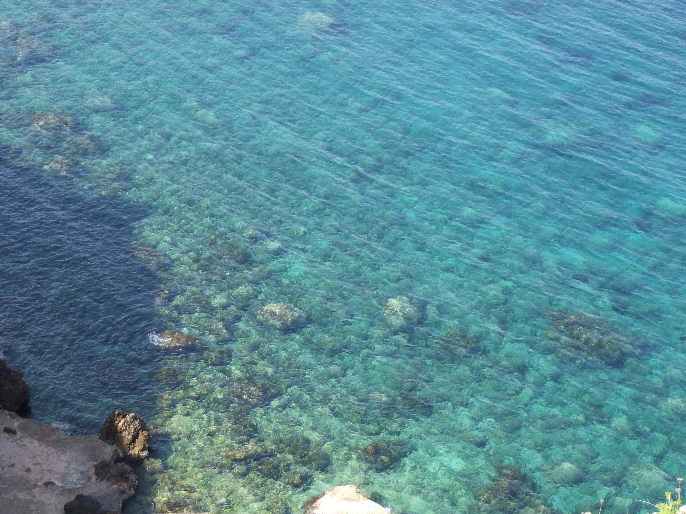 Apartamentos Sa Cala Cala Morell Εξωτερικό φωτογραφία